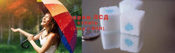 гашик Коряжма