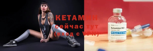 каннабис Корсаков