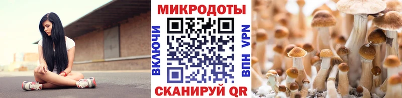 Галлюциногенные грибы Magic Shrooms  наркотики  hydra ТОР  Ростов-на-Дону 