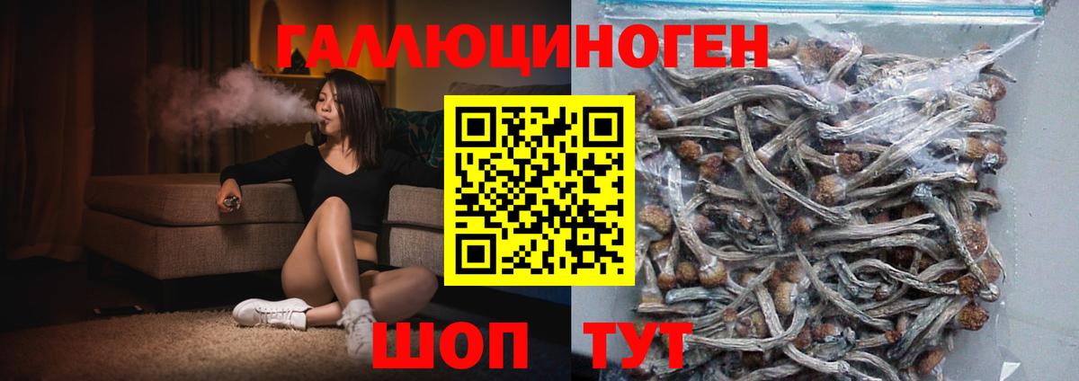Псилоцибиновые грибы Magic Shrooms  Псилоцибиновые грибы Magic Shrooms  Вход с VPN  закладки  Ростов-на-Дону 