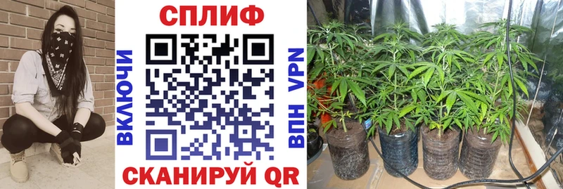 darknet формула  Ростов-на-Дону  Шишки марихуана THC 21%  наркошоп 